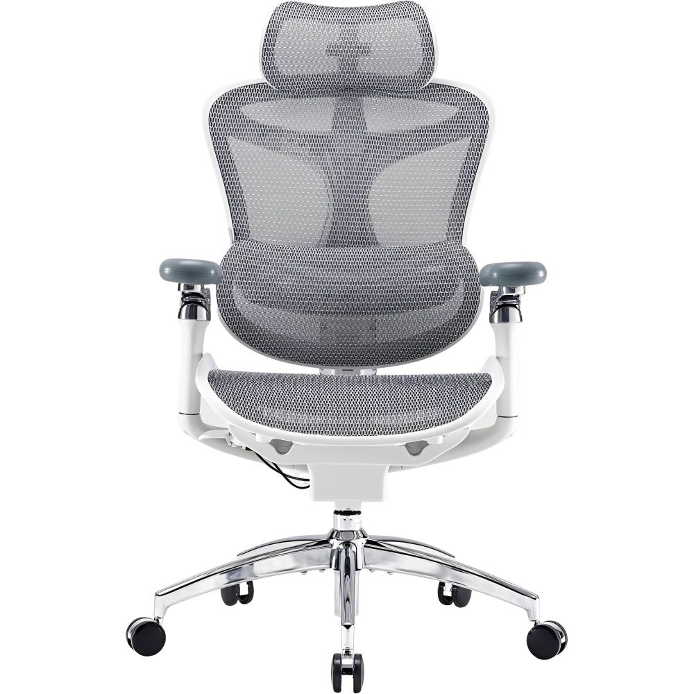 Importado Cadeira Escritorio Ergonomica Sihoo C300 B102 6D Suporte Lombar Dinamico