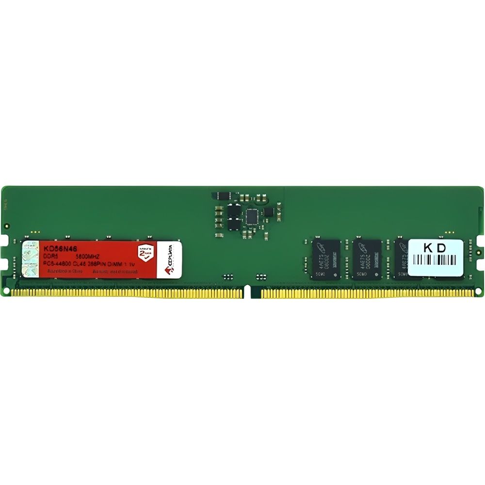 Importado Memoria Ddr5 Keepdata 5600 Mhz Kd56n46 8G 8GB