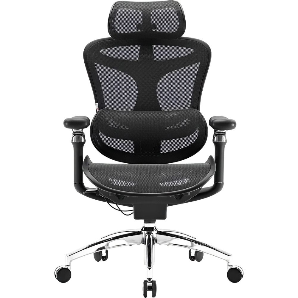 Importado Cadeira Escritorio Ergonomica Sihoo Doro C300 Pro 6D Suporte Lombar